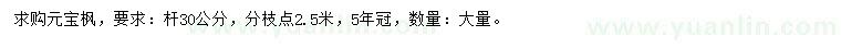 求購30公分元寶楓