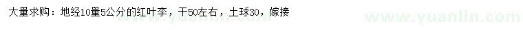 求購(gòu)10量5公分紅葉李