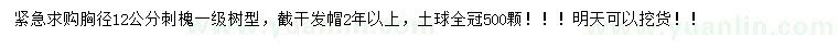 求購胸徑12公分刺槐