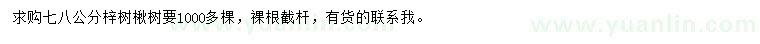 求購7、8公分梓樹、楸樹