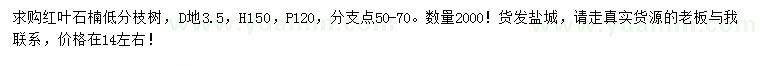 求購地徑3.5公分紅葉石楠