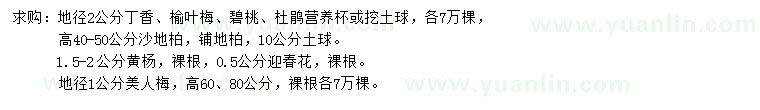 求購丁香、榆葉梅、碧桃等
