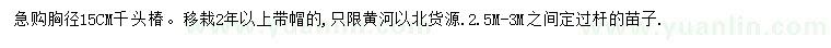 求購胸徑15公分千頭椿