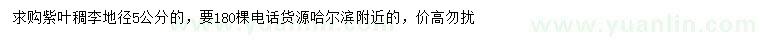 求購地徑5公分紫葉稠李