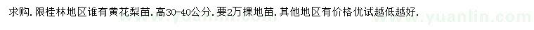 求購高30-40公分黃花梨苗