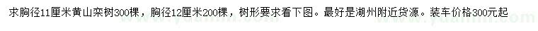 求購(gòu)胸徑11、12公分黃山欒樹