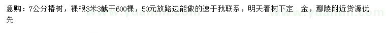 求購7公分椿樹