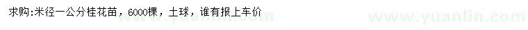 求購米徑1公分桂花