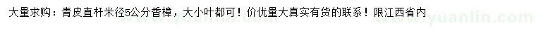 求購米徑5公分香樟