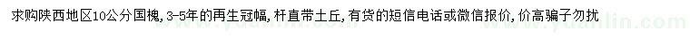 求購(gòu)10公分國(guó)槐