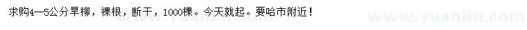 求購4-5公分旱柳