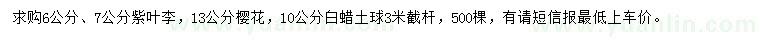 求購(gòu)紫葉李、櫻花、白蠟