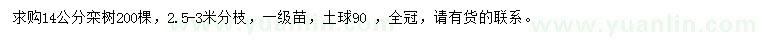 求購14公分欒樹(shù)