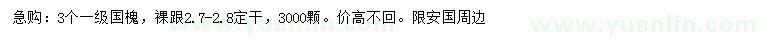 求購3公分國槐