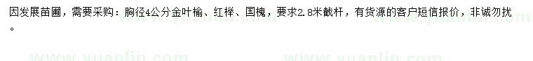 求購金葉榆、紅櫸、國槐