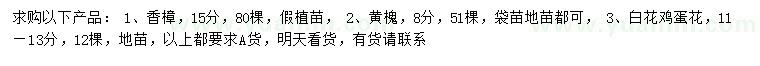 求購香樟、黃槐、白花雞蛋花