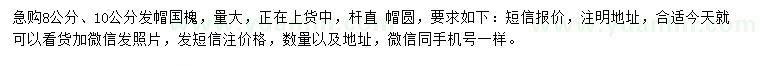 求購8、10公分國槐