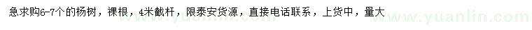求購6-7公分楊樹(shù)