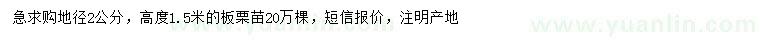 求購(gòu)地徑2公分板栗苗