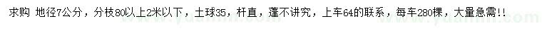 求購地徑7公分紅葉石楠