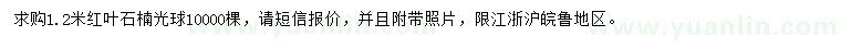 求購(gòu)1.2米紅葉石楠球
