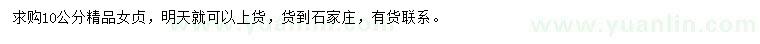 求購10公分女貞