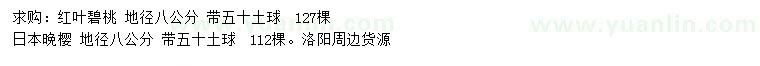 求購地徑8公分紅葉碧桃、日本晚櫻