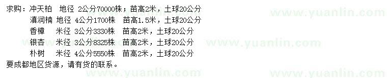 求購(gòu)沖天柏、滇潤(rùn)楠、香樟等