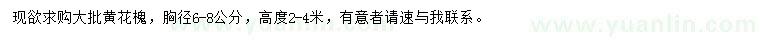 求購胸徑6-8公分黃花槐