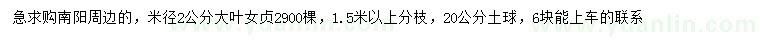 求購米徑2公分大葉女貞
