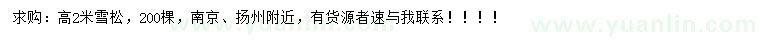 求購高2米雪松