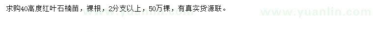 求購高40公分紅葉石楠
