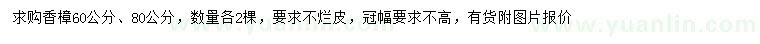求購60、80公分香樟
