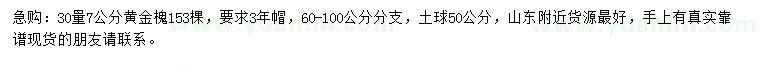 求購30量7公分黃金槐