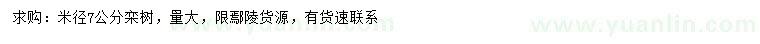 求購(gòu)米徑7公分欒樹(shù)