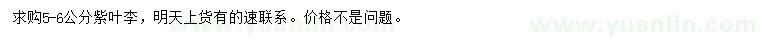 求購(gòu)5-6公分紫葉李
