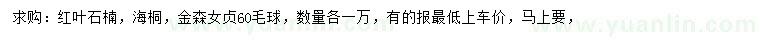 求購紅葉石楠、海桐、金森女貞