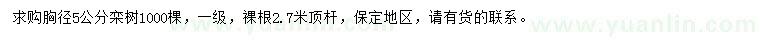 求購胸徑5公分欒樹