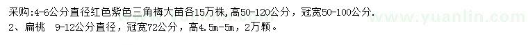 求購4-6公分三角梅、9-12公分扁桃