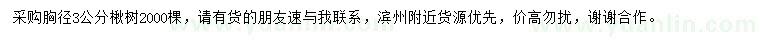 求購(gòu)胸徑3公分楸樹