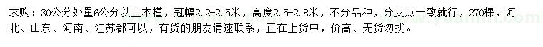 求購30公分處量6公分以上木槿