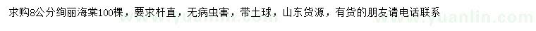 求購8公分絢麗海棠