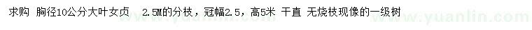 求購胸徑10公分大葉女貞