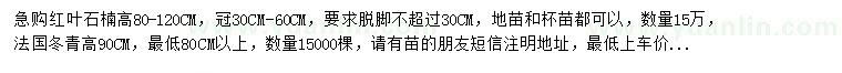 求購(gòu)高80-120公分紅葉石楠、90公分法國(guó)冬青