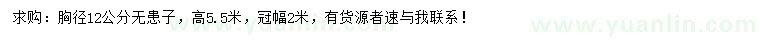 求購胸徑12公分無患子