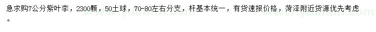 求購7公分紫葉李