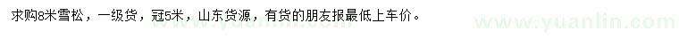 求購(gòu)8米雪松