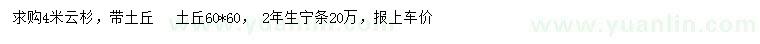 求購4米云杉、檸條