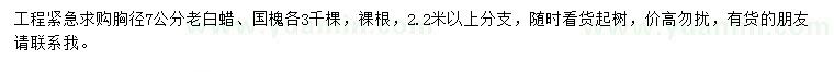求購(gòu)胸徑7公分老白蠟、國(guó)槐