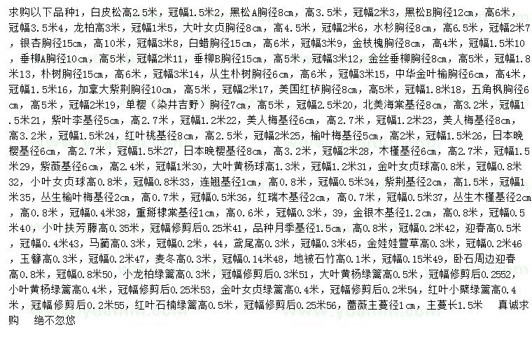 求購白皮松、黑松、龍柏等